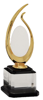 CWTCM 1