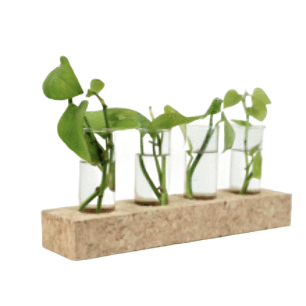 CWEFP 15 - Image 8