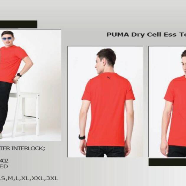 CWBTS 49-Puma