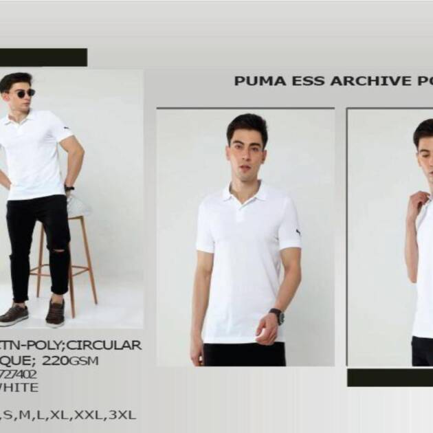 CWBTS 48-Puma